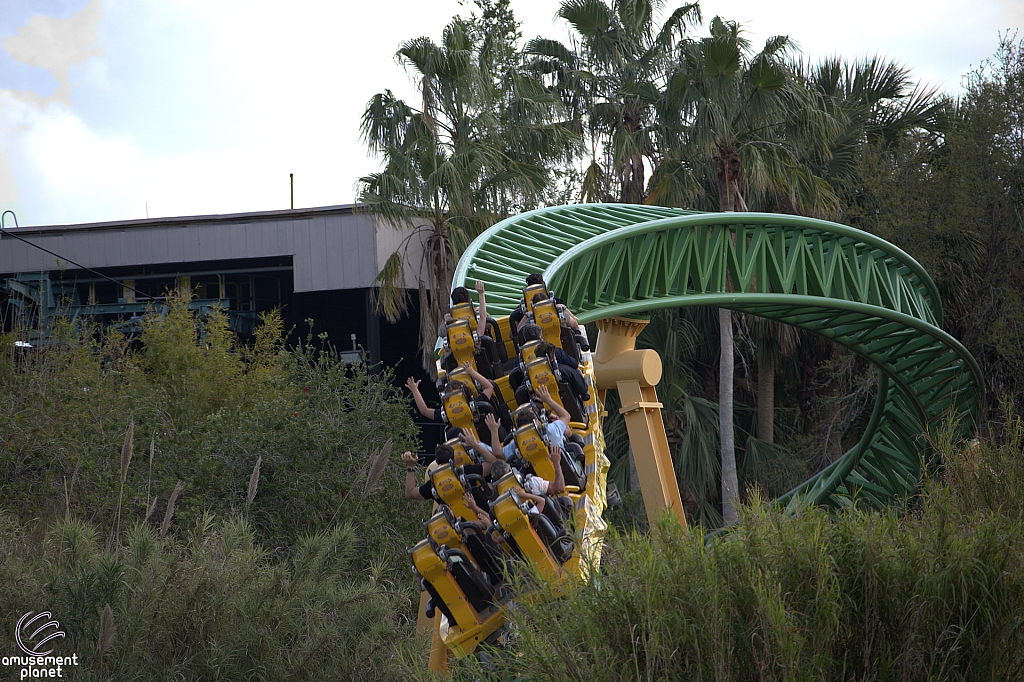 Cheetah Hunt