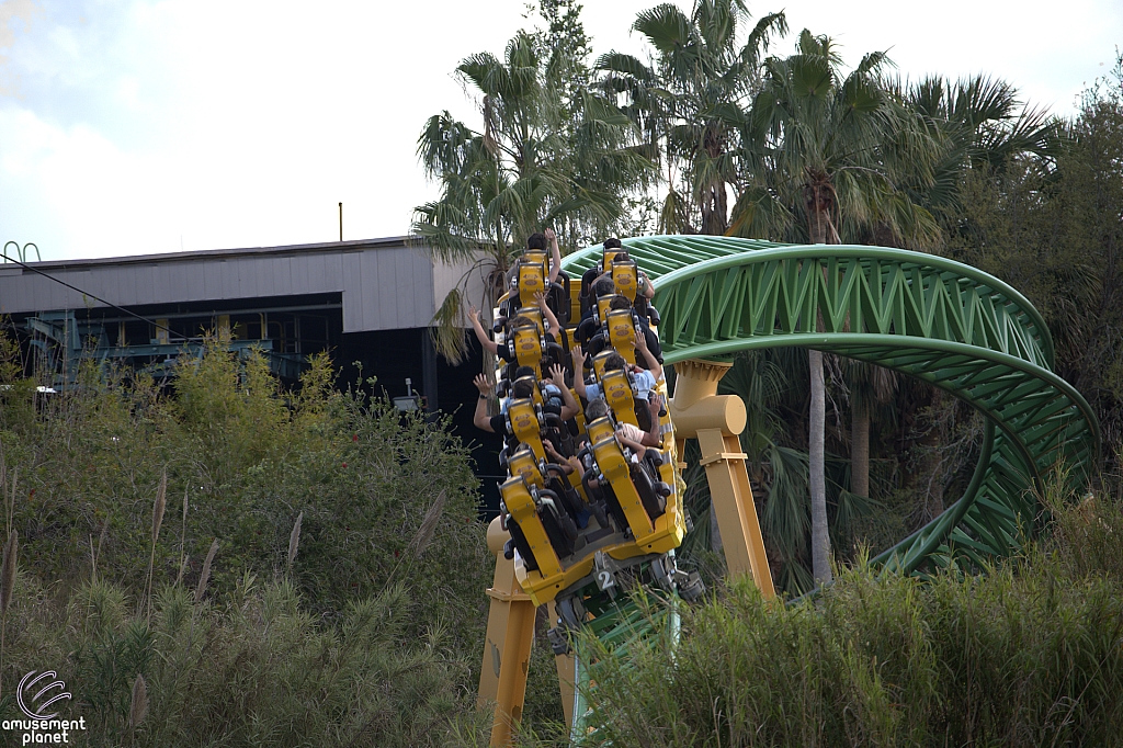 Cheetah Hunt