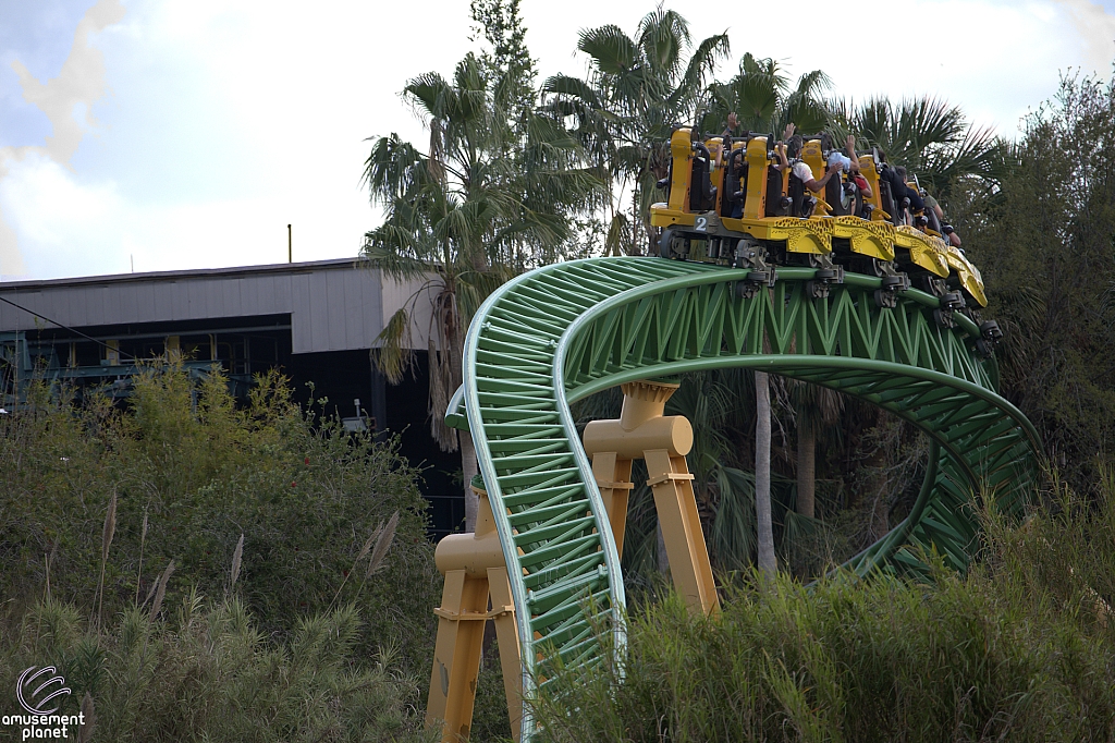 Cheetah Hunt