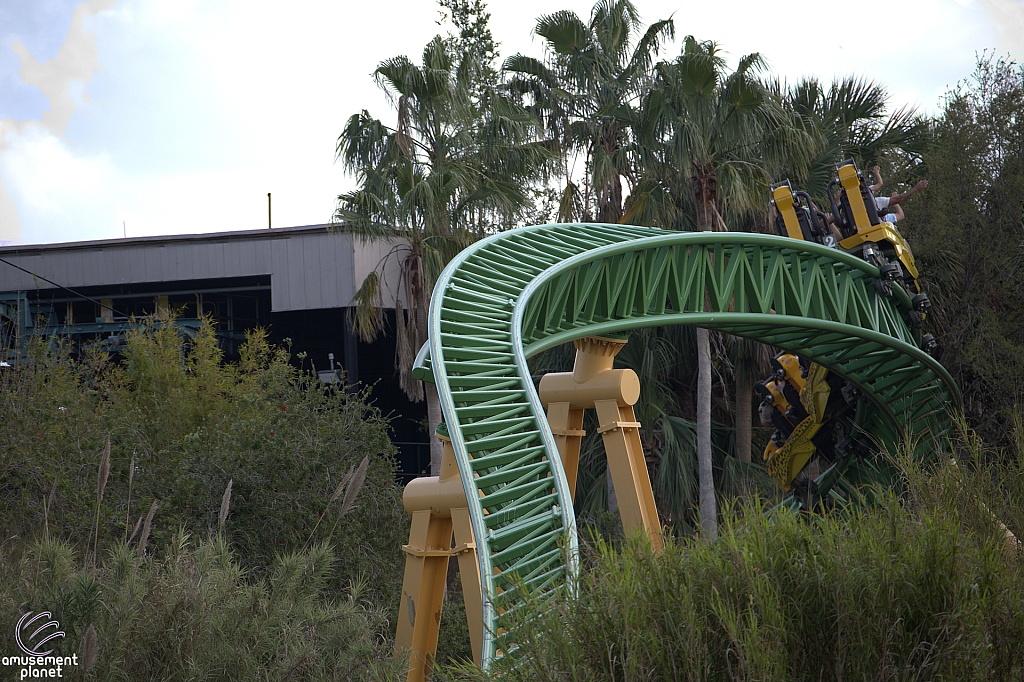 Cheetah Hunt