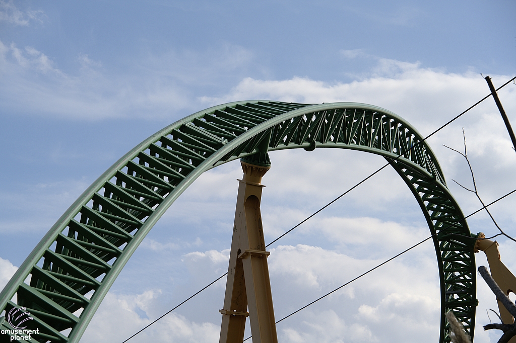 Cheetah Hunt