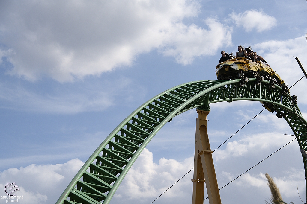 Cheetah Hunt