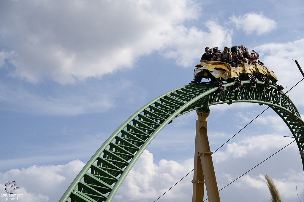 Cheetah Hunt