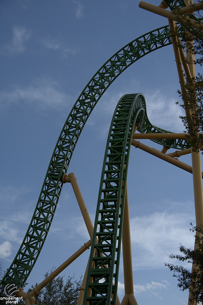 Cheetah Hunt