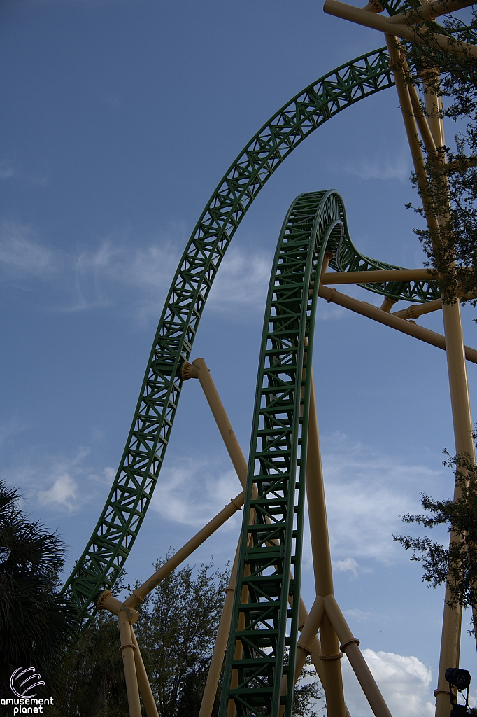 Cheetah Hunt
