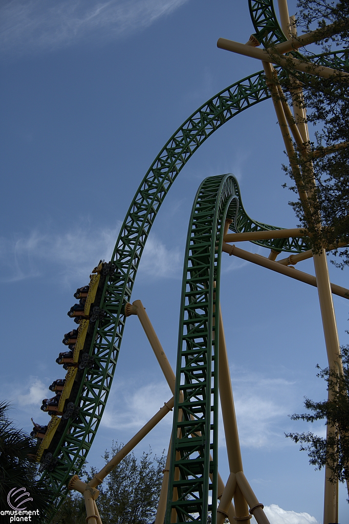 Cheetah Hunt
