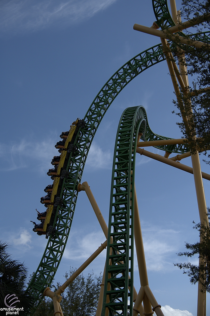 Cheetah Hunt