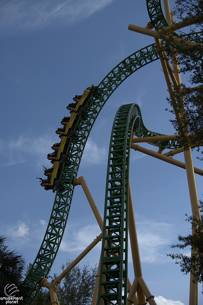 Cheetah Hunt
