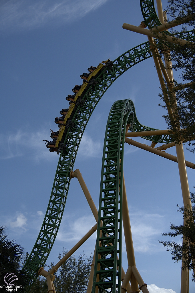 Cheetah Hunt