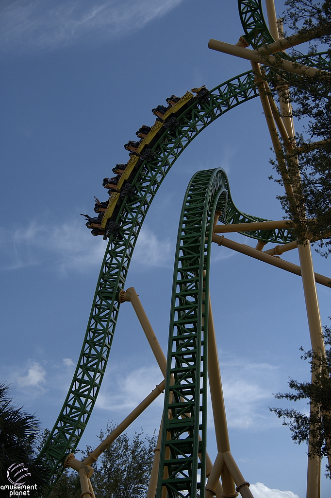 Cheetah Hunt