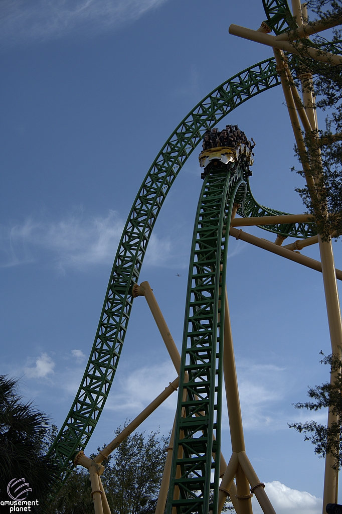 Cheetah Hunt