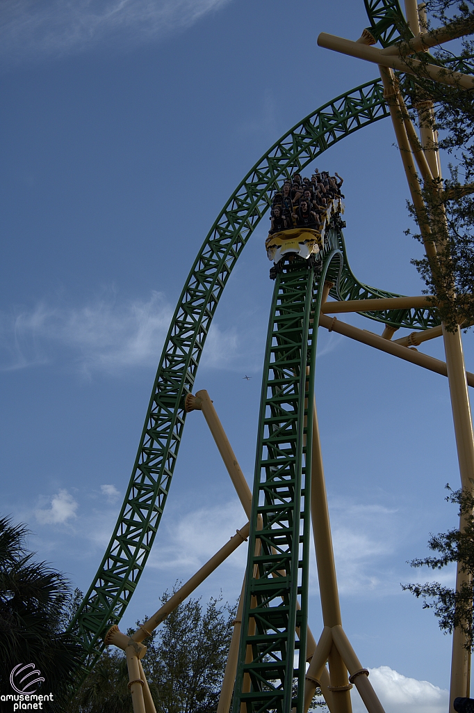 Cheetah Hunt
