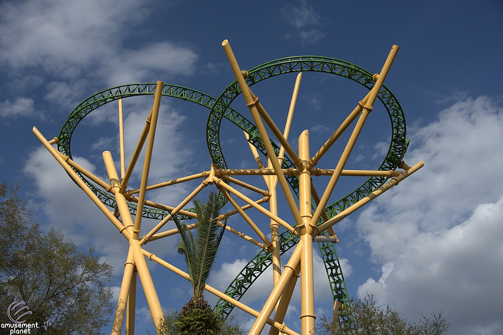 Cheetah Hunt