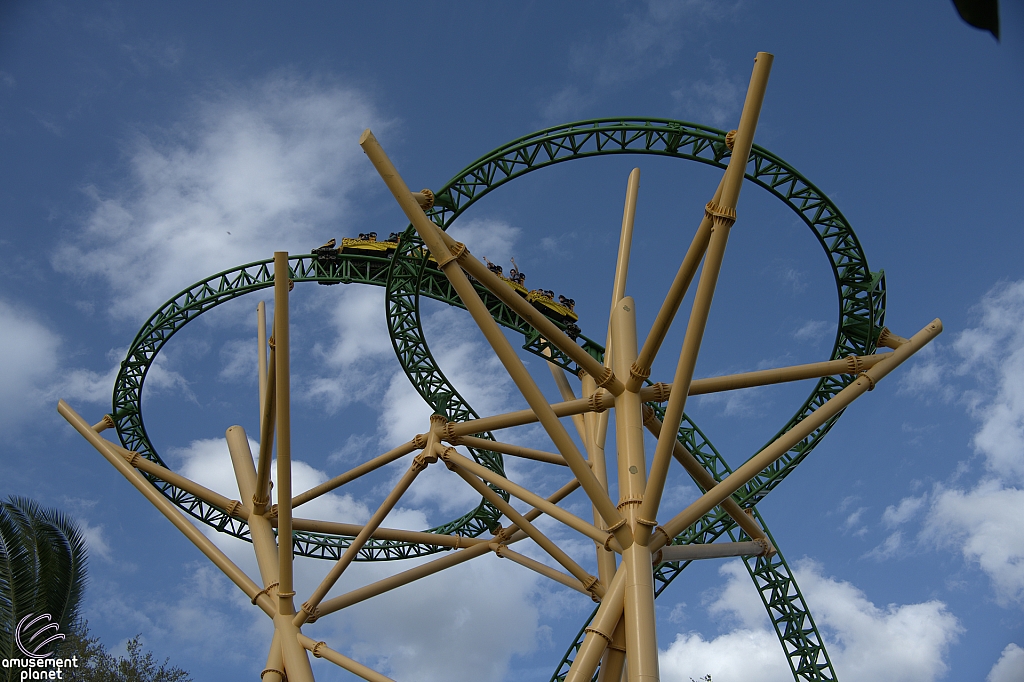 Cheetah Hunt