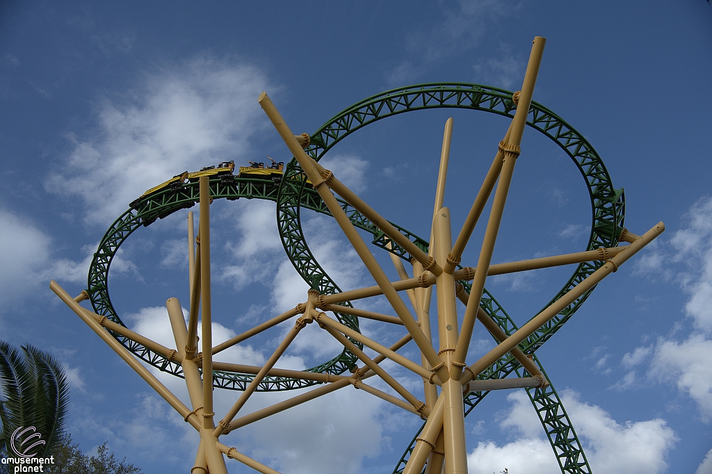 Cheetah Hunt