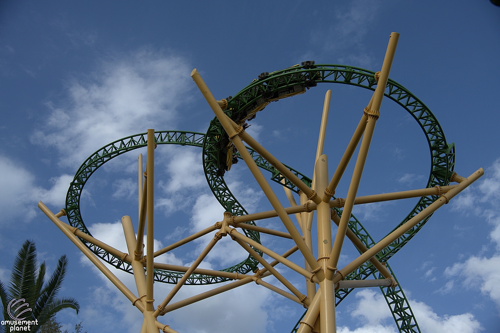 Cheetah Hunt