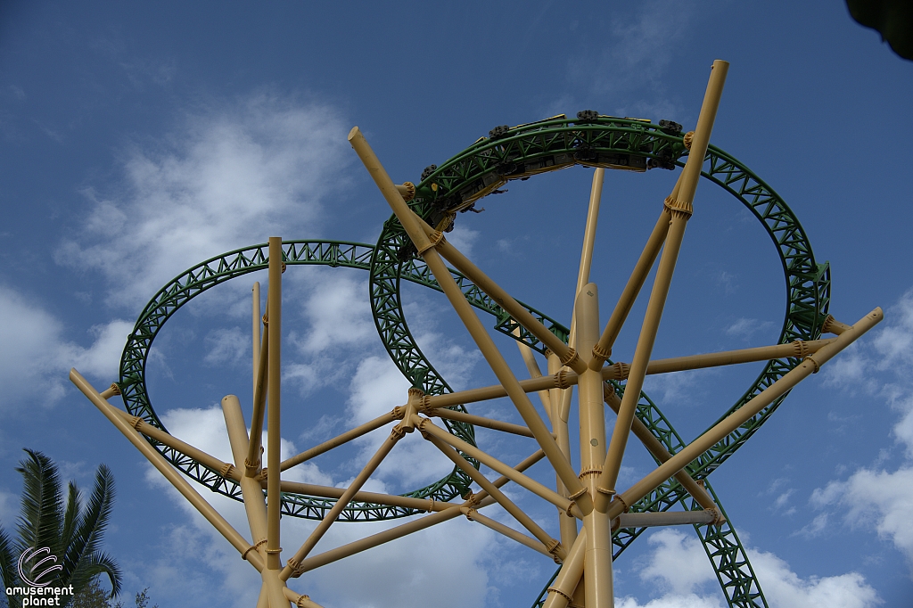 Cheetah Hunt