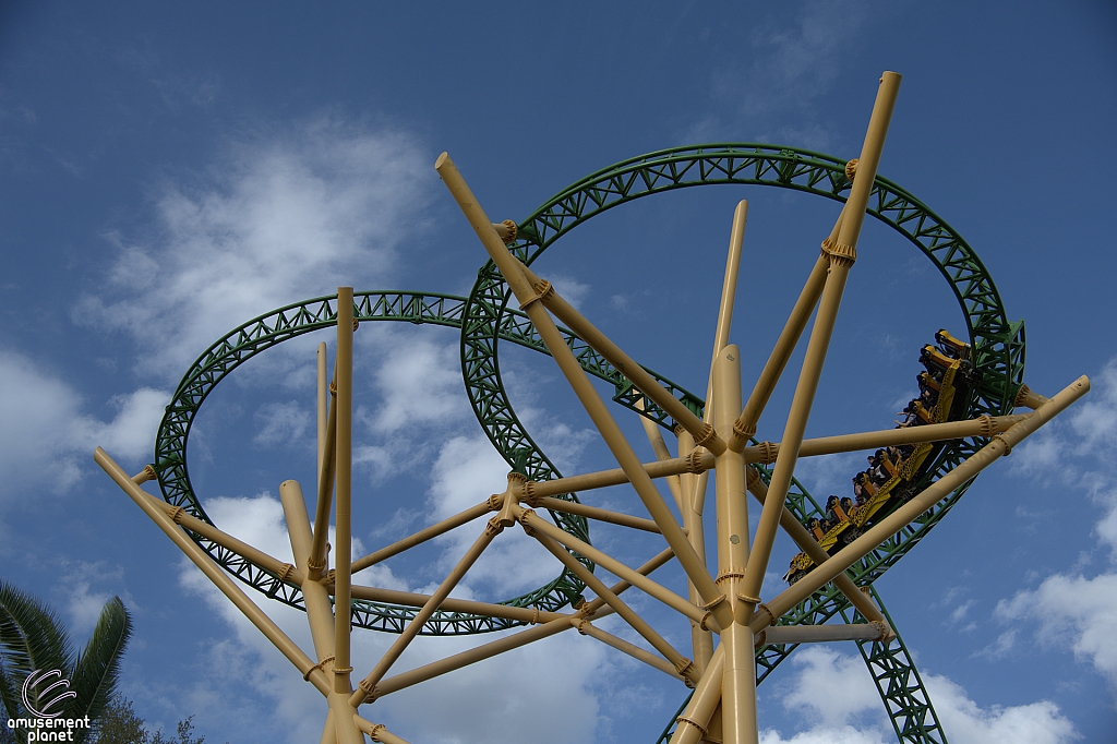 Cheetah Hunt