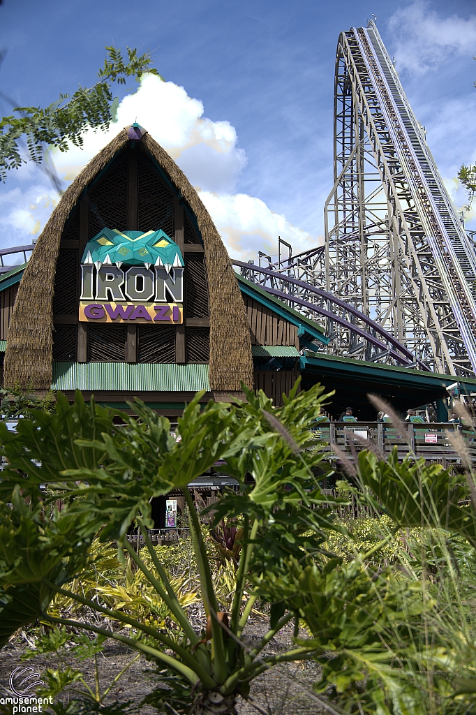 Iron Gwazi