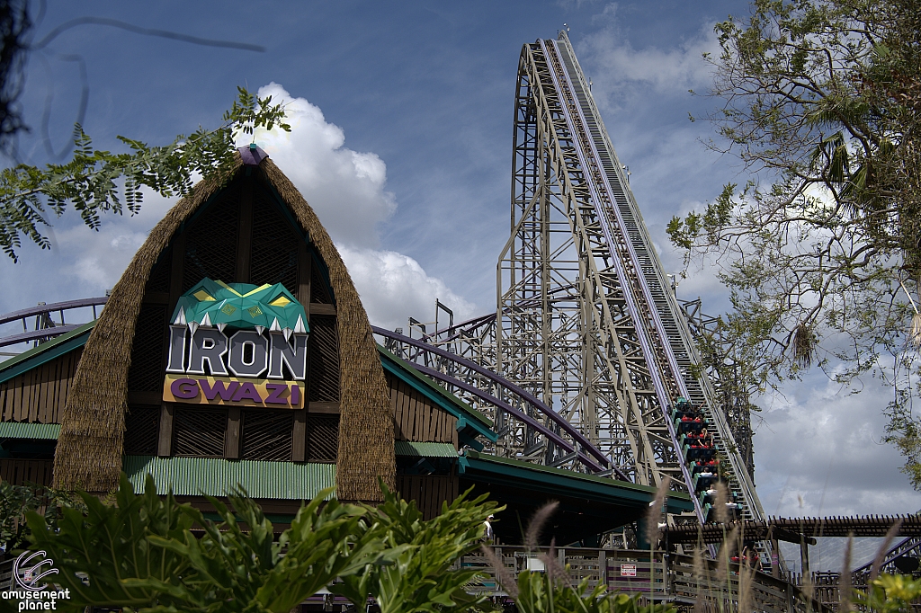 Iron Gwazi