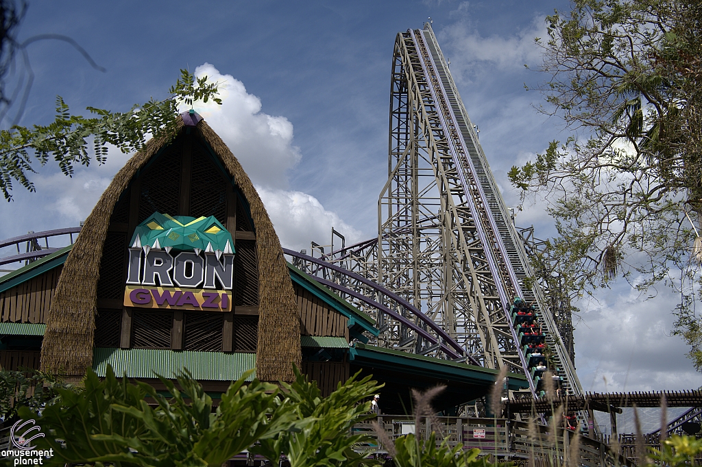 Iron Gwazi