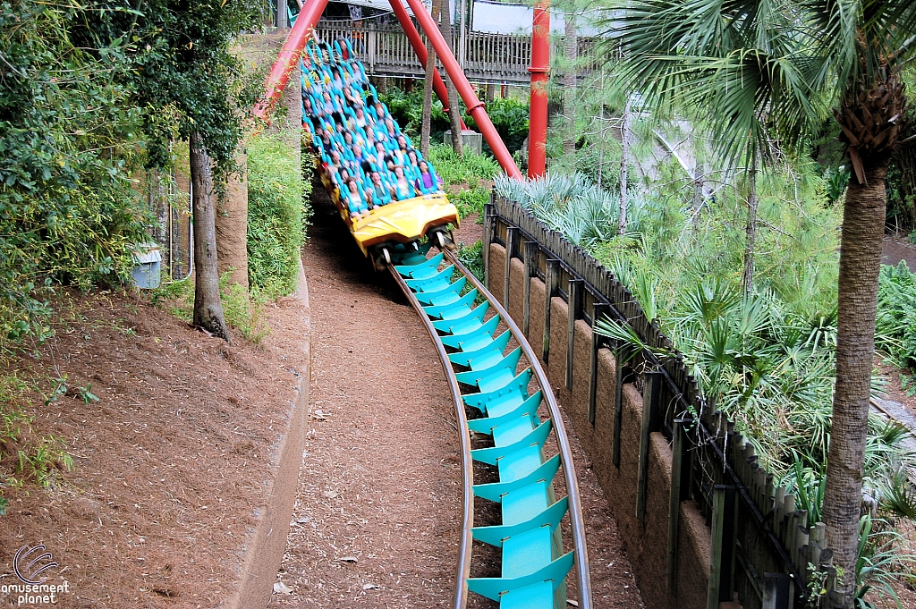 Kumba