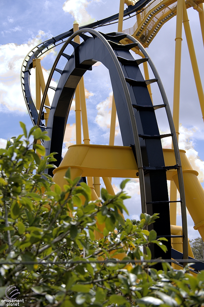 Montu