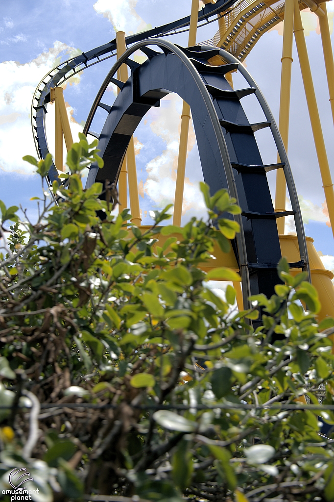 Montu