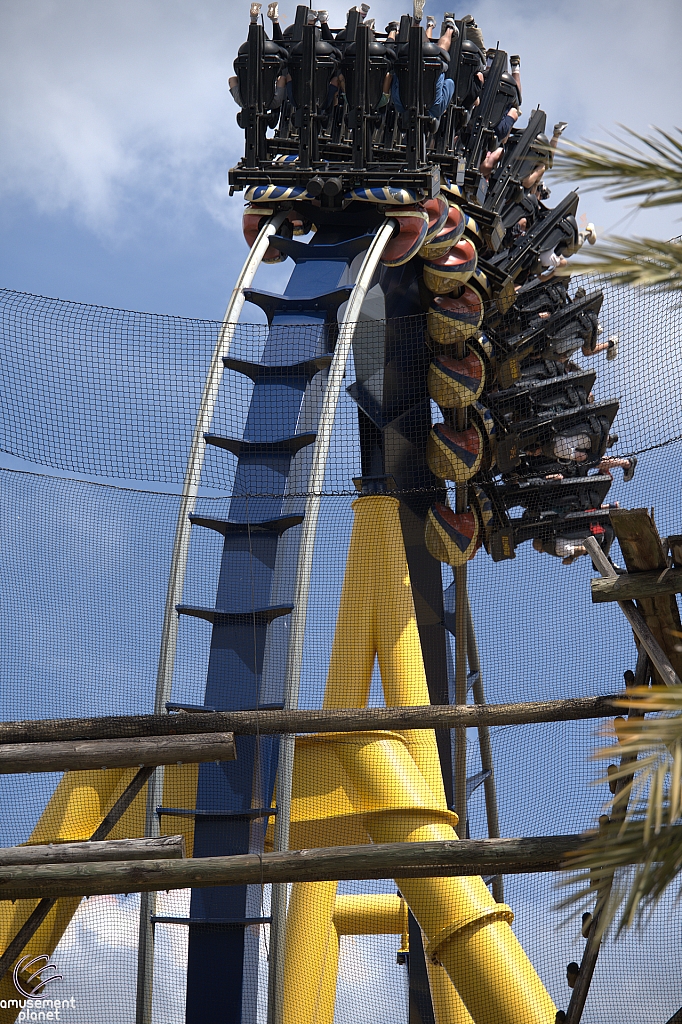 Montu