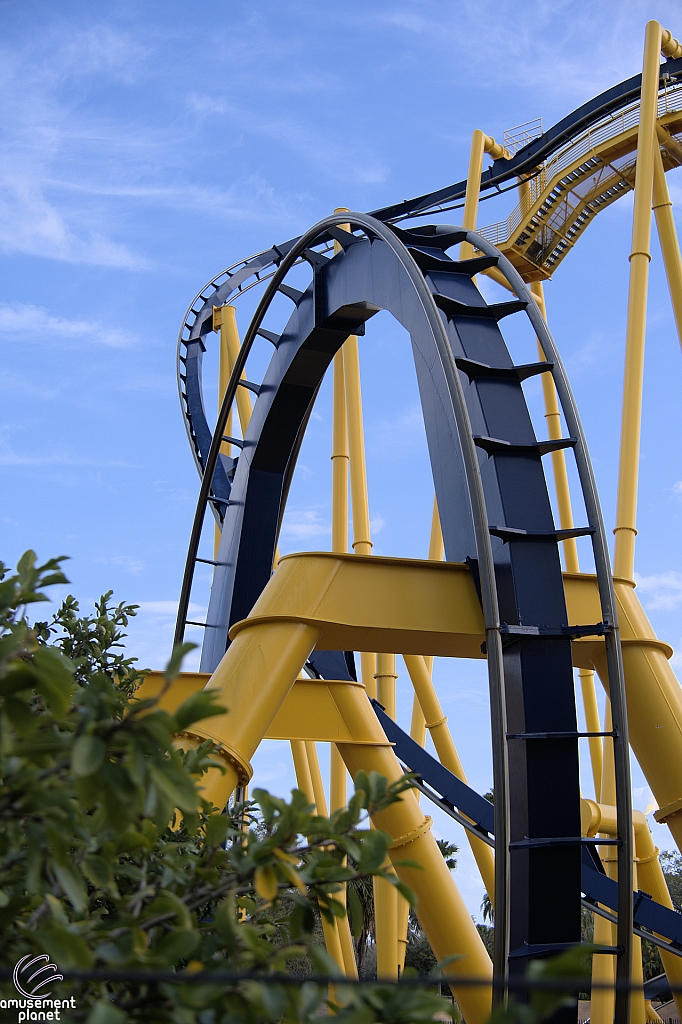 Montu