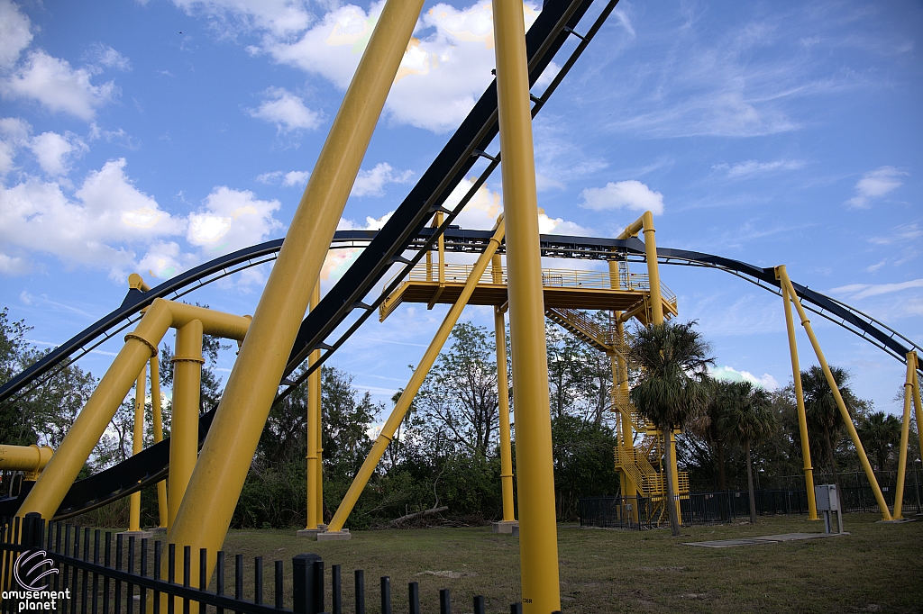 Montu