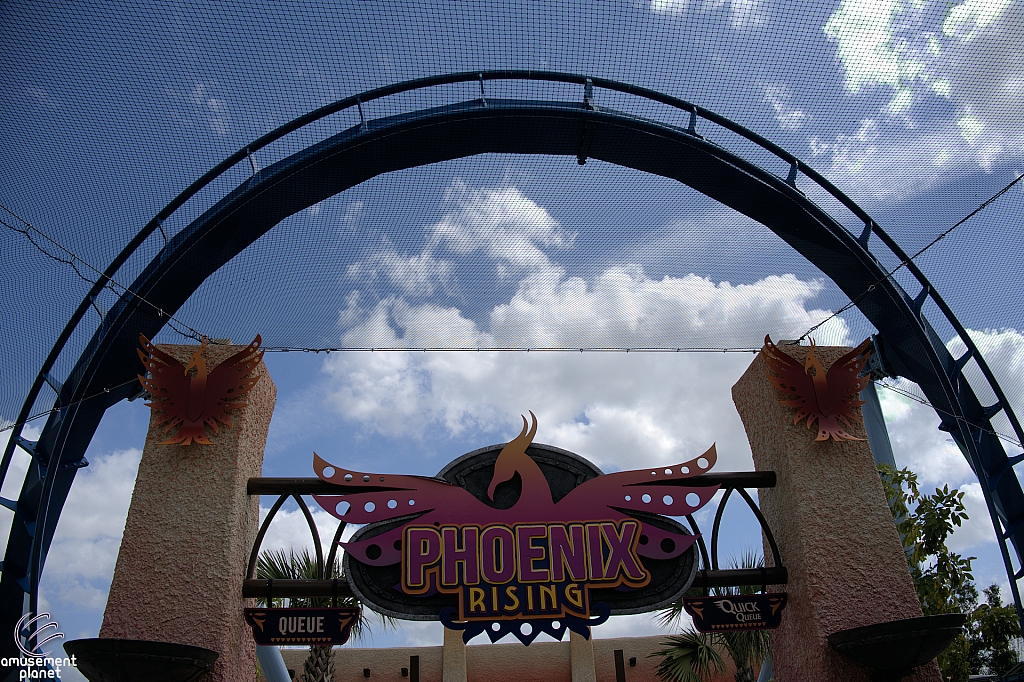Phoenix Rising