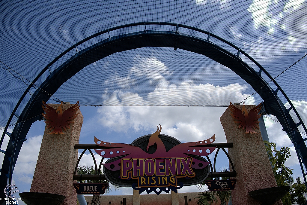 Phoenix Rising