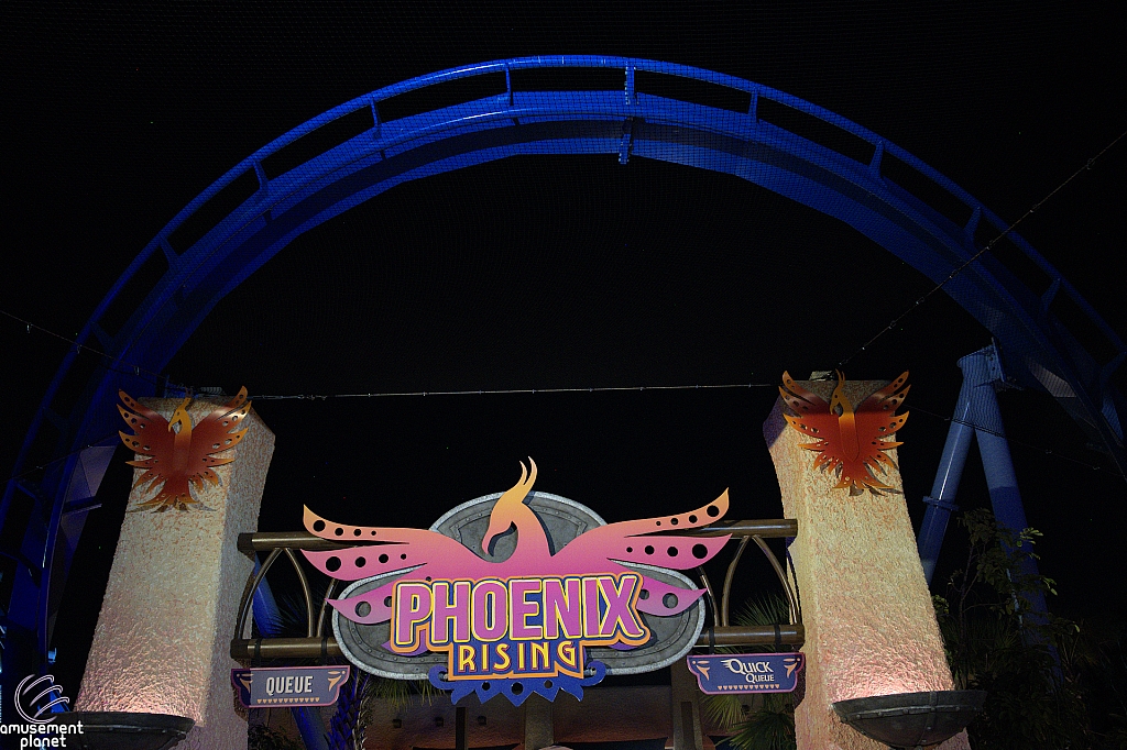 Phoenix Rising