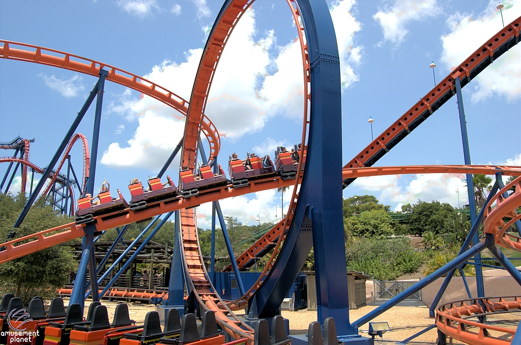 Scorpion