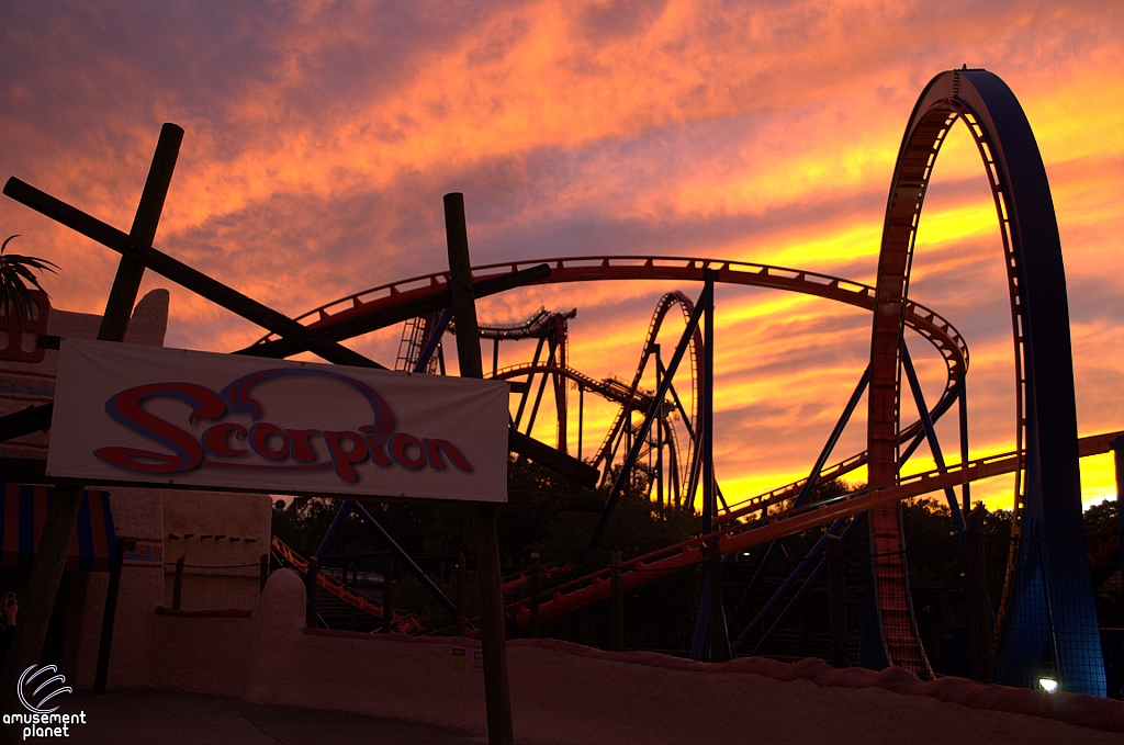 Scorpion