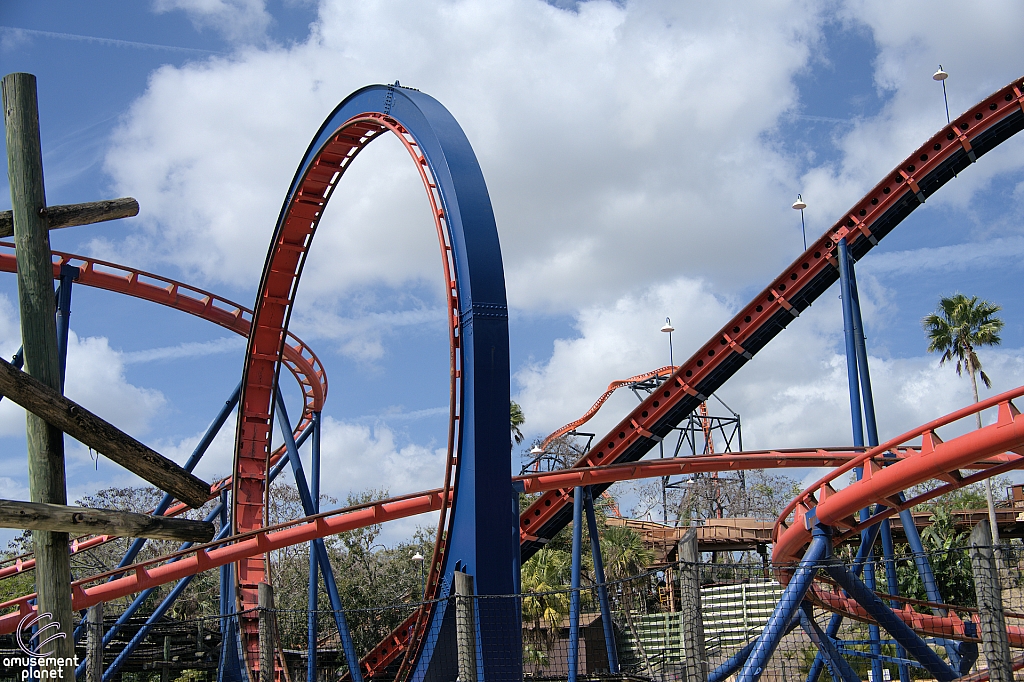 Scorpion