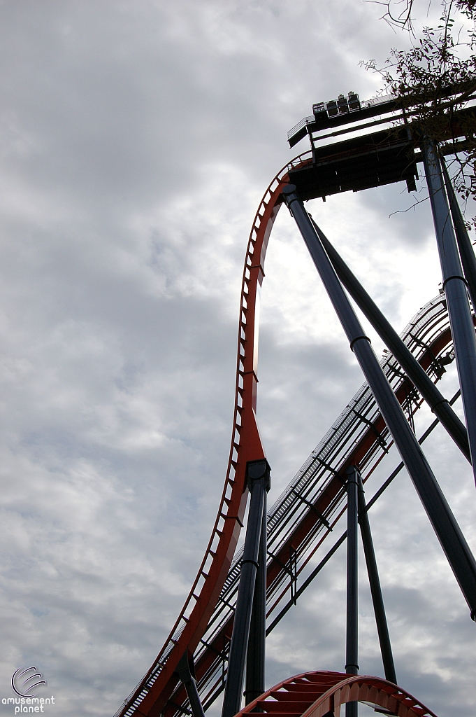 SheiKra