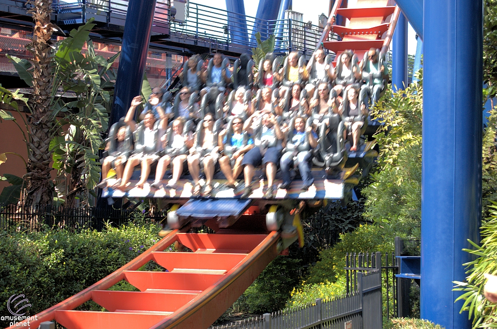 SheiKra