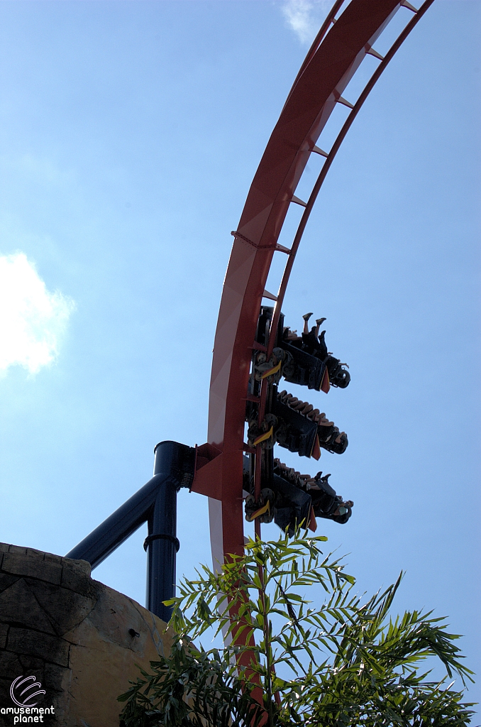 SheiKra