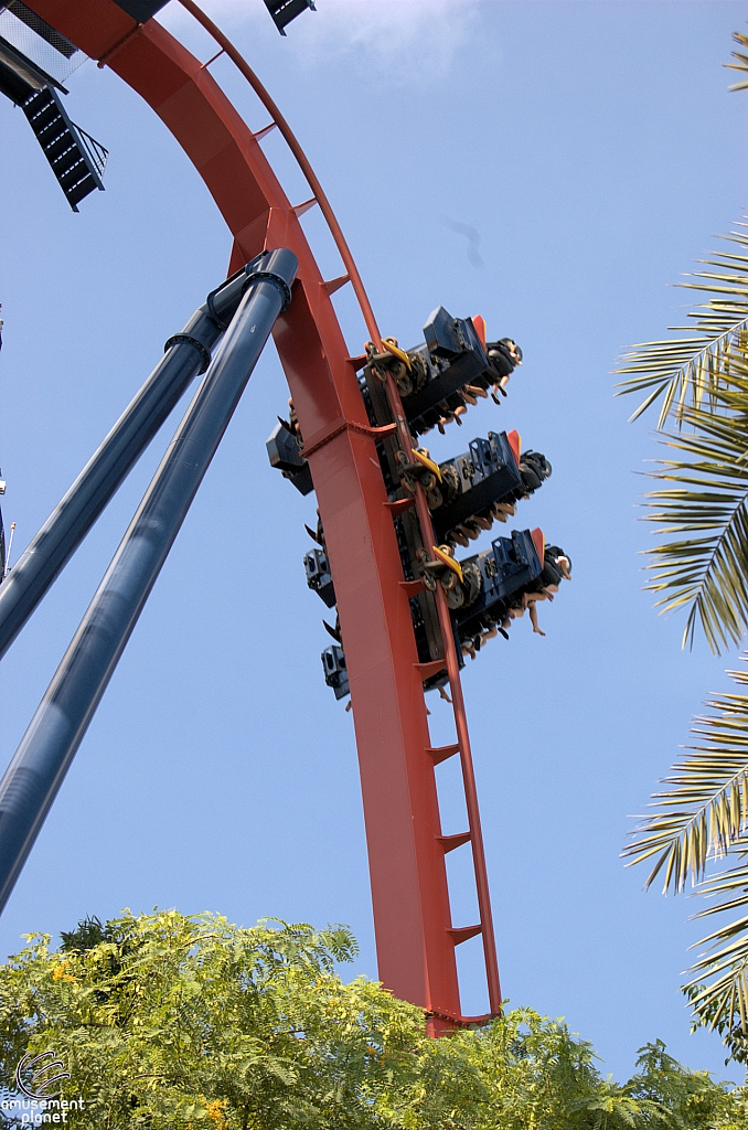 SheiKra