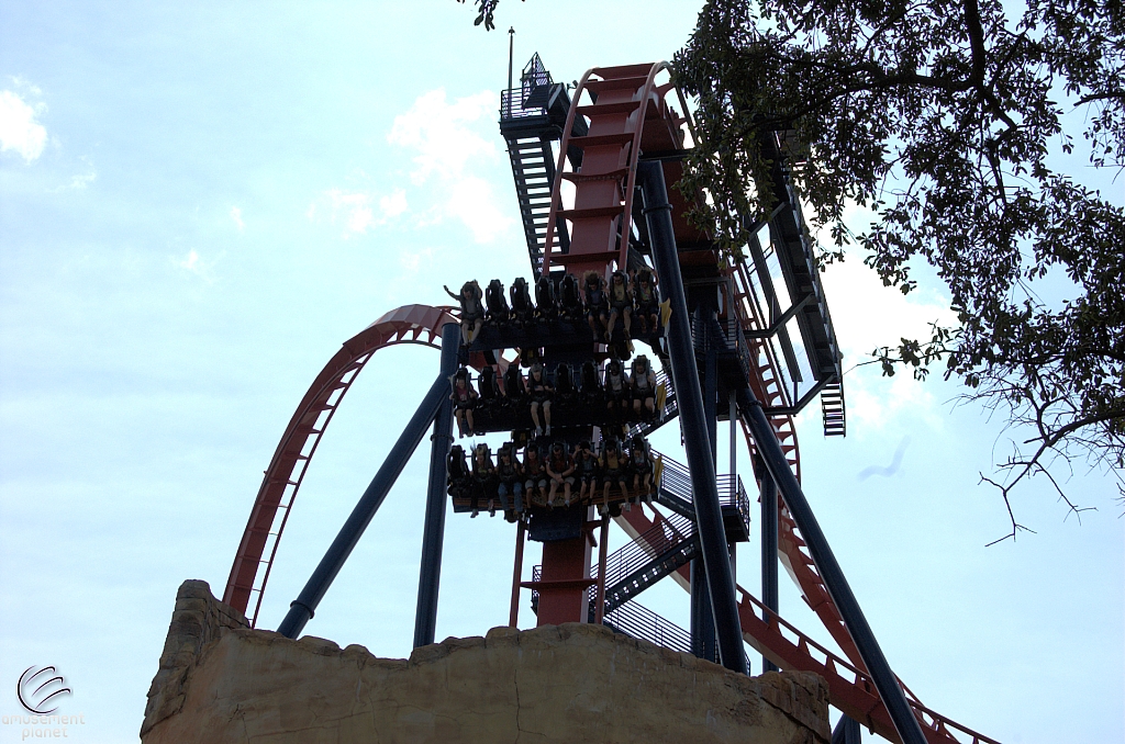 SheiKra