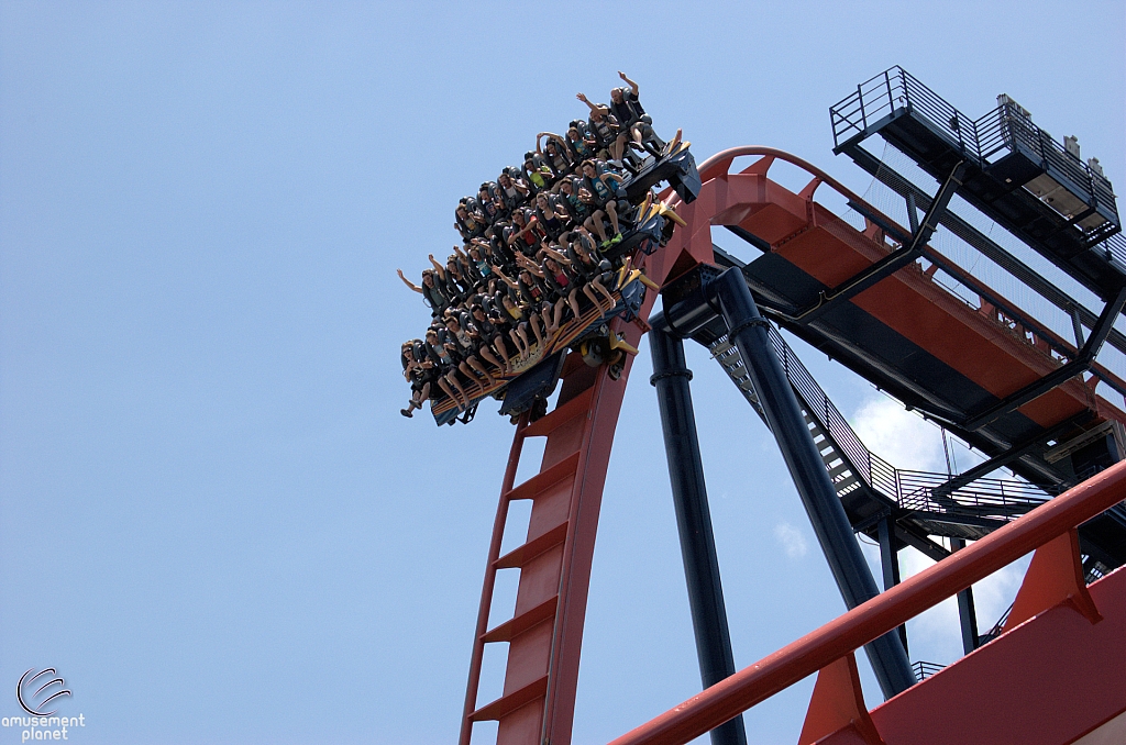 SheiKra