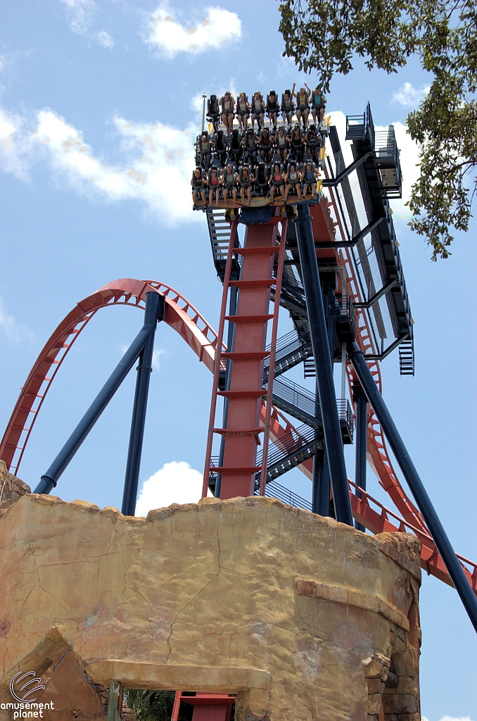 SheiKra