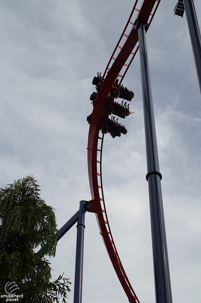 SheiKra