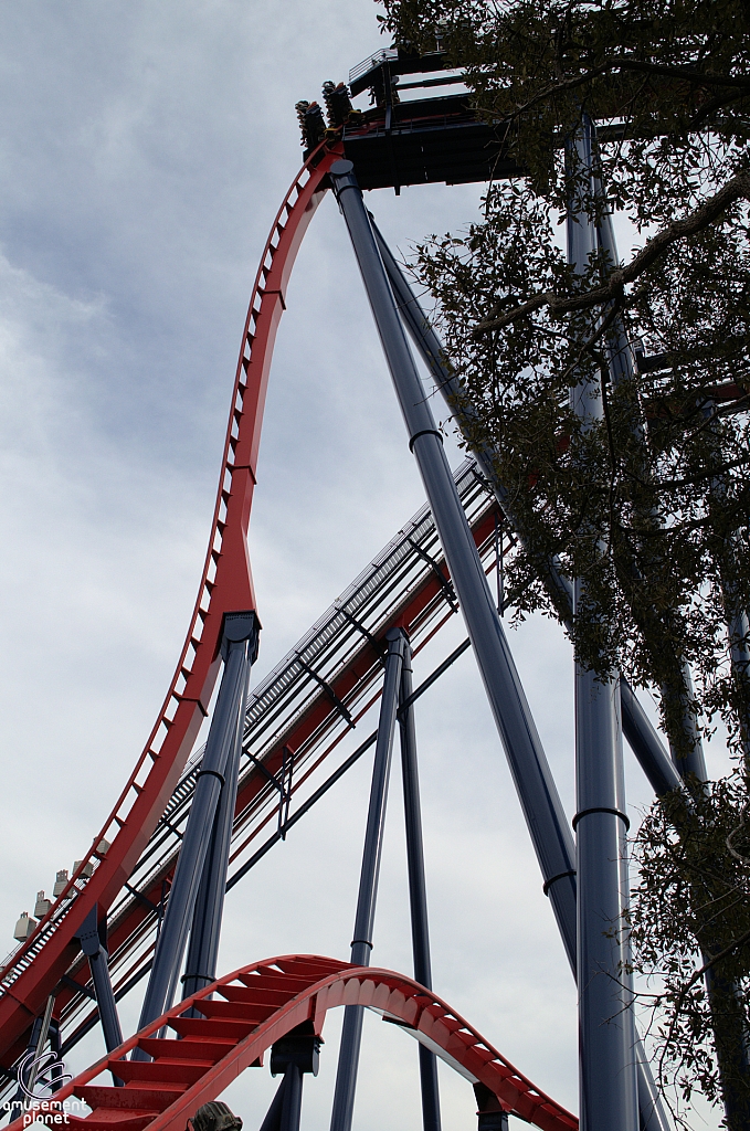 SheiKra