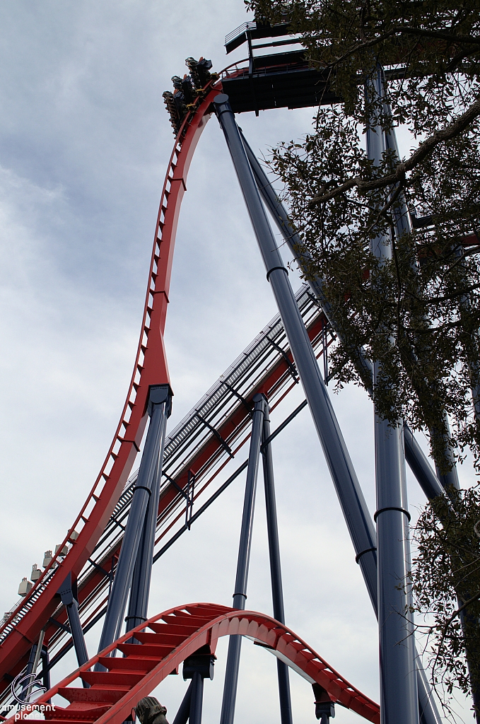 SheiKra