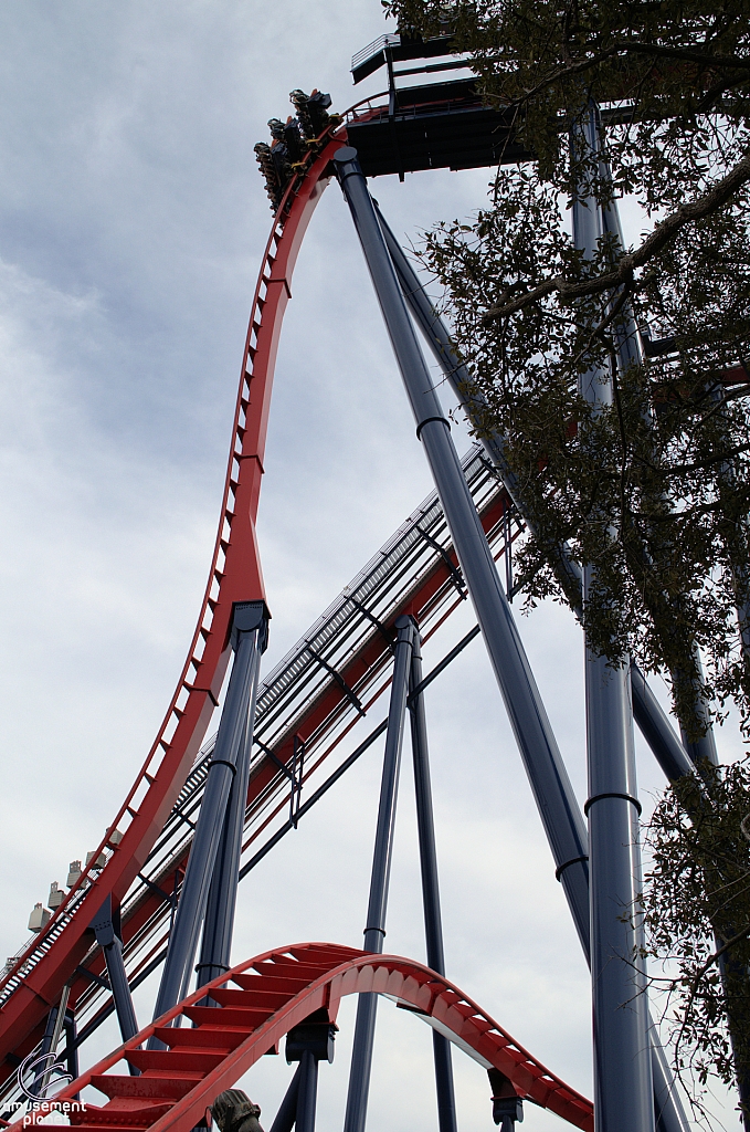 SheiKra