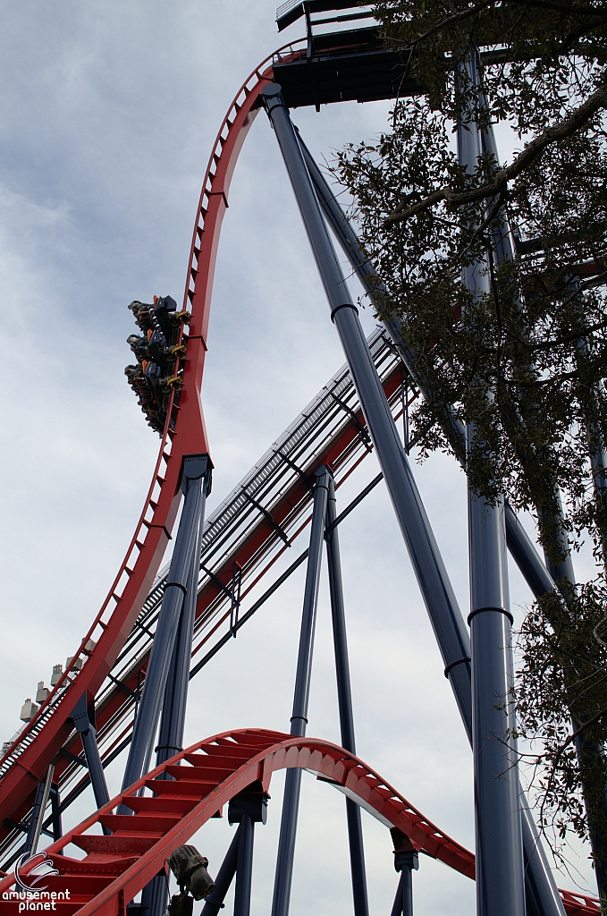 SheiKra