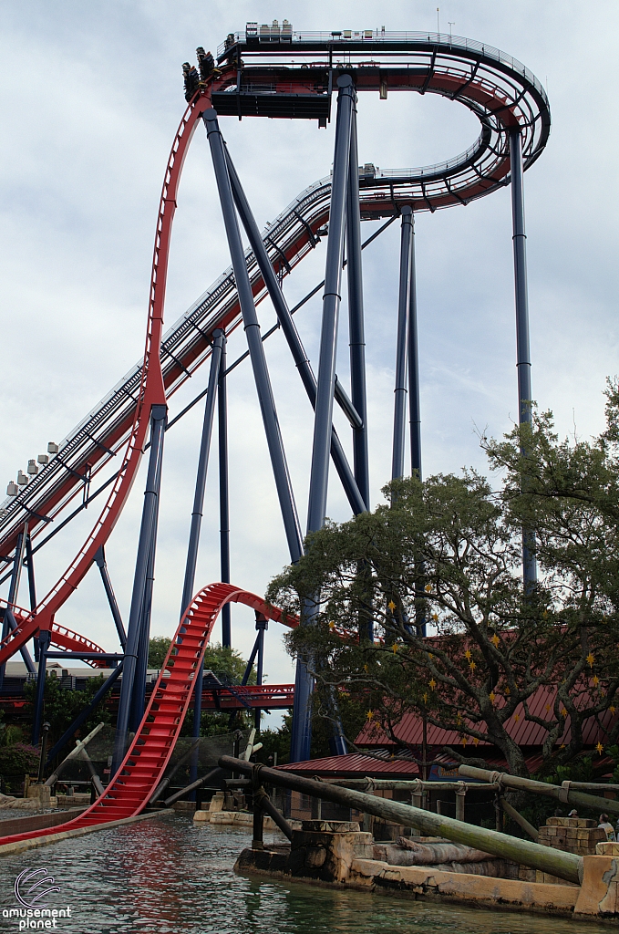 SheiKra